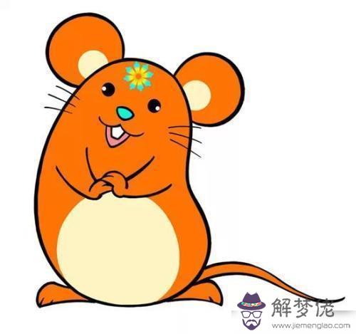 女的屬鼠跟什麼樣的屬相婚配大吉，1996年屬鼠女孩的婚姻