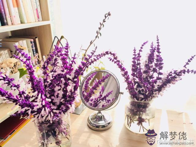 紅色適合的屬相