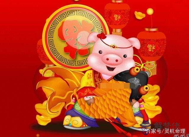 7、屬豬的愛情運勢指南:年屬豬的愛情運勢今年怎麼樣?