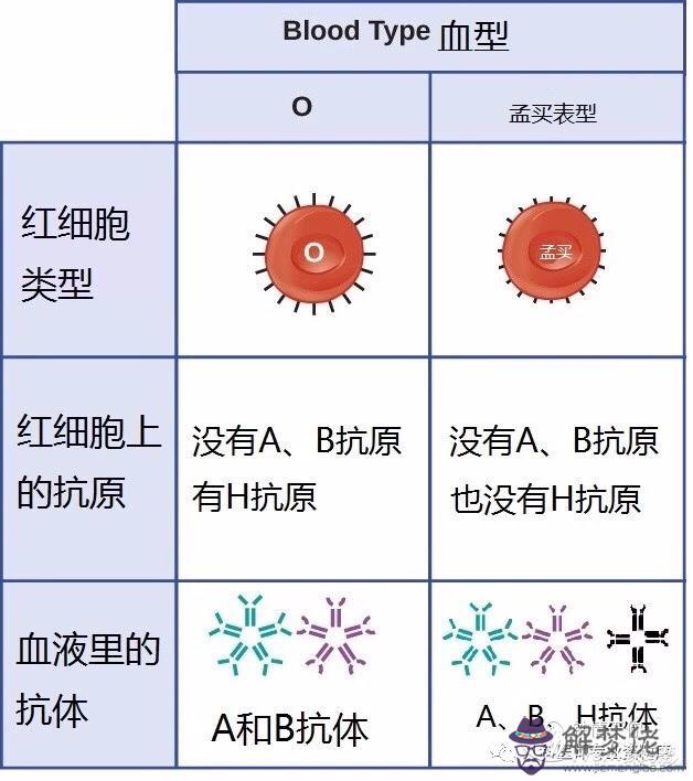 1、o型血和o型血婚配怎樣:我的父母跟弟弟都是O型血，而我是A型