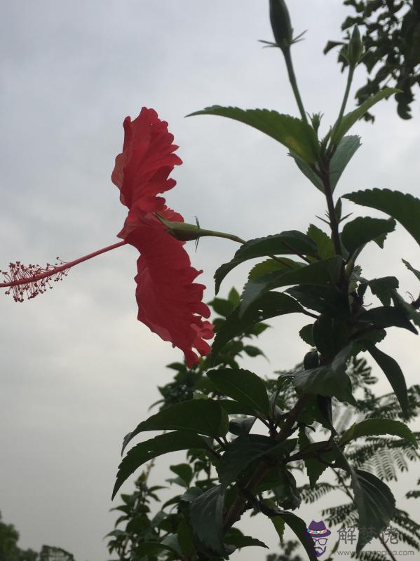 農歷十月哪天日子好