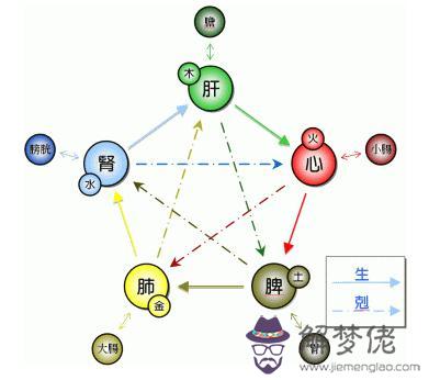 屬相和五行屬性：十二生肖怎麼排金木水火土