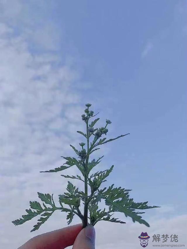 白羊男最稀罕的星座女，哪個星座能讓白羊男聽話