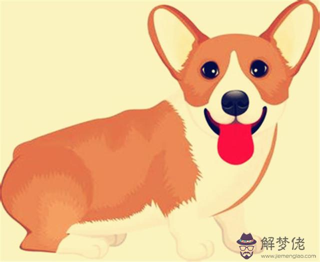 1、雞與狗屬相婚配可以:屬雞的跟屬狗的真的不能婚配嗎？