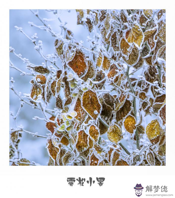 發朋友圈正能量的句子 發朋友圈的精美句子