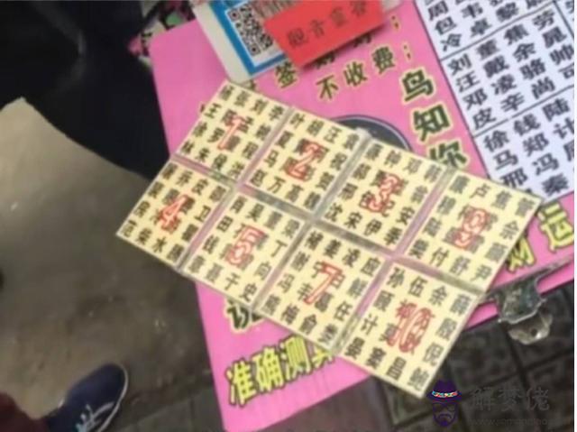 小鳥用算命什麼意思 小鳥用算命什麼意思