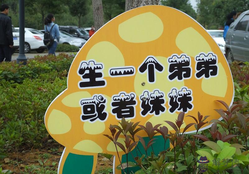 人口老齡化利弊 人口老齡化的危害