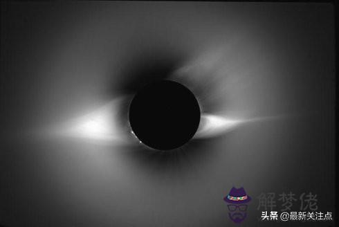 算命說天狗算命意思 算命說天狗算命意思