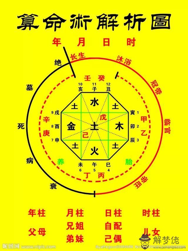 八字中性情分析及批斷
