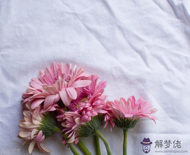 雙子男罵會罵喜歡的女生嗎，雙子座像你兒子