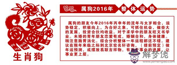 生肖屬狗人今日運勢查詢，12生肖今年狗的運氣怎樣