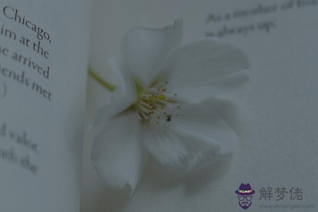 白羊座死心了還能挽回嗎，當白羊男人死心了
