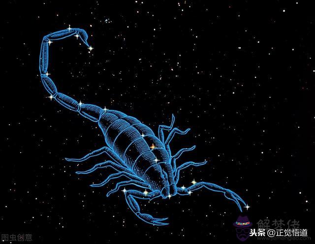 十二星座的守護神獸龍，十二星座化身美人魚