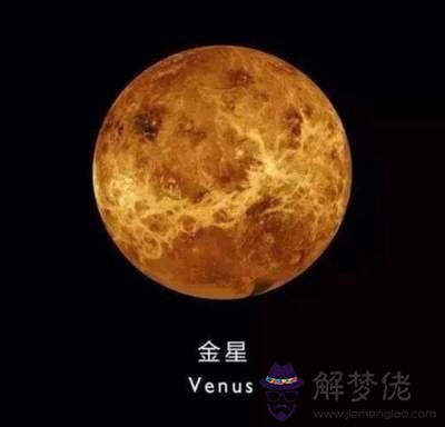 金星星座落入的宮位查詢，金星落在天蝎座十二宮