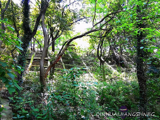 南京八字山碉堡 南京八字山碉堡