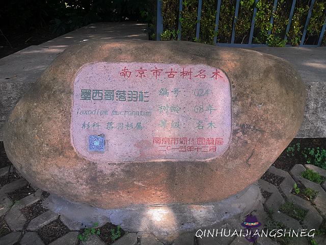 南京八字山碉堡 南京八字山碉堡