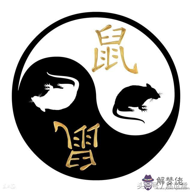 生肖龍八字木命選樓層