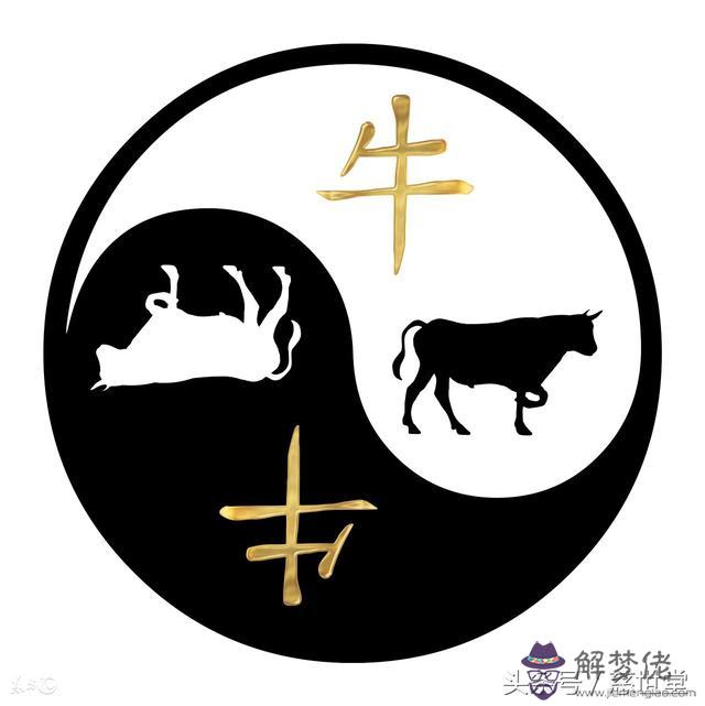 生肖龍八字木命選樓層
