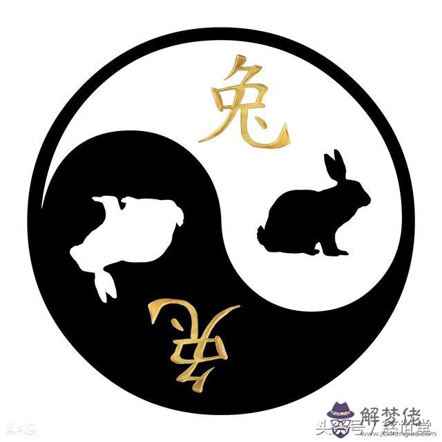 生肖龍八字木命選樓層