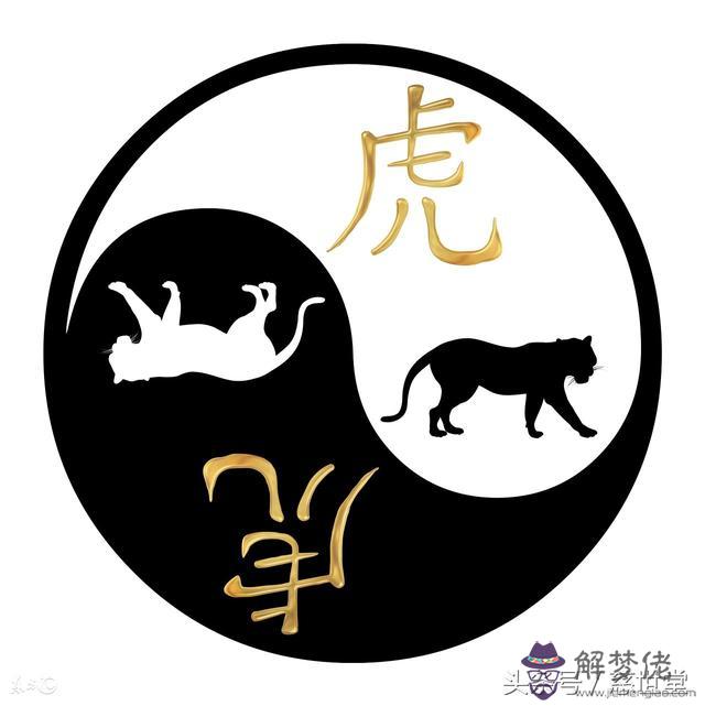 生肖龍八字木命選樓層