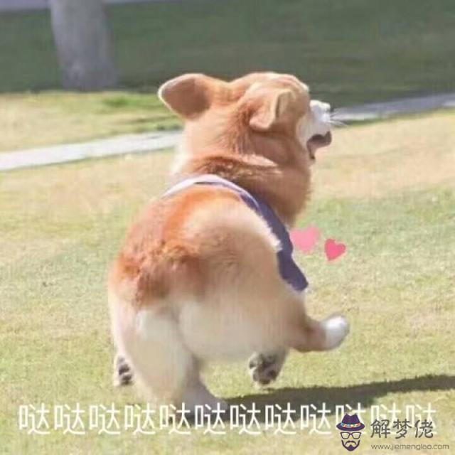 十二星座戰斗力最強的星座，十二星座戰斗力排名