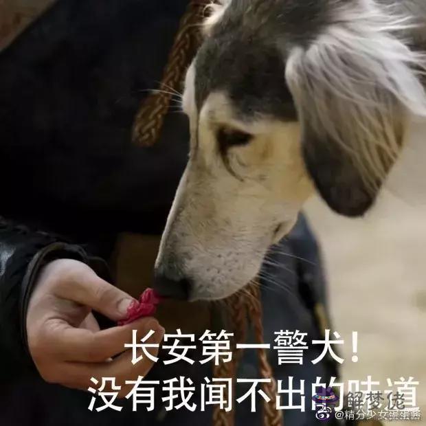 長安十二時辰1080超清版，長安十二時辰未刪減版