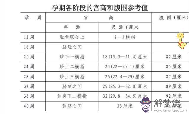 懷孕的過程需要多久
