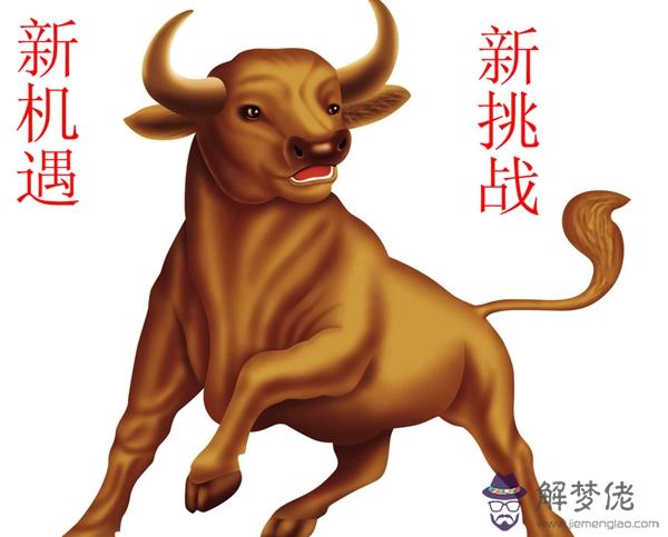 關于2022年屬牛的和屬什麼屬相的不合的信息