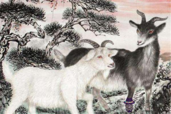 男屬羊跟什麼屬相最配，屬羊與什麼屬相相合
