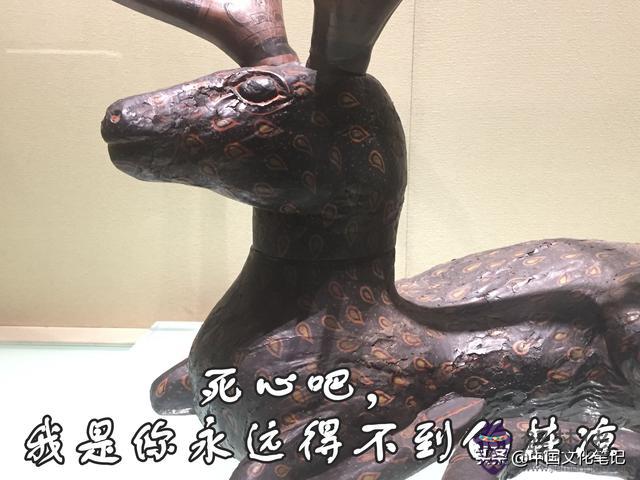 四兩九錢男配什麼屬相