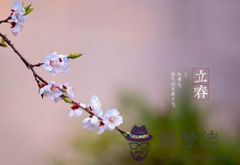 本命年除夕夜躲避的屬相