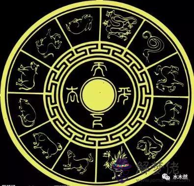 什麼屬相是神奇的生肖