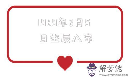 1989年2月5日生辰八字