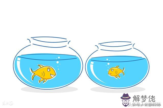 兔子與蛇的屬相合不合
