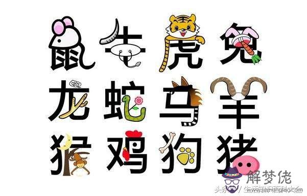 屬虎和什麼屬相最合財