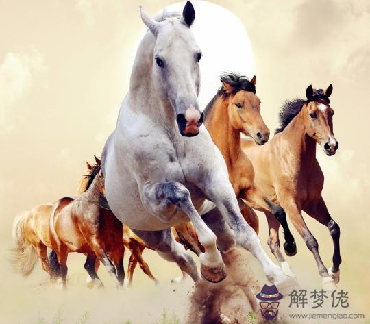 屬相羊和馬生個什麼寶寶，羊馬生個什麼屬相的好