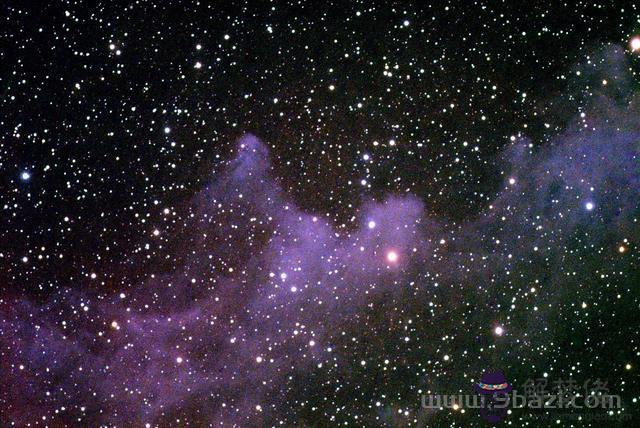 怎麼查自己的太陽星座，怎麼查太陽和上升星座