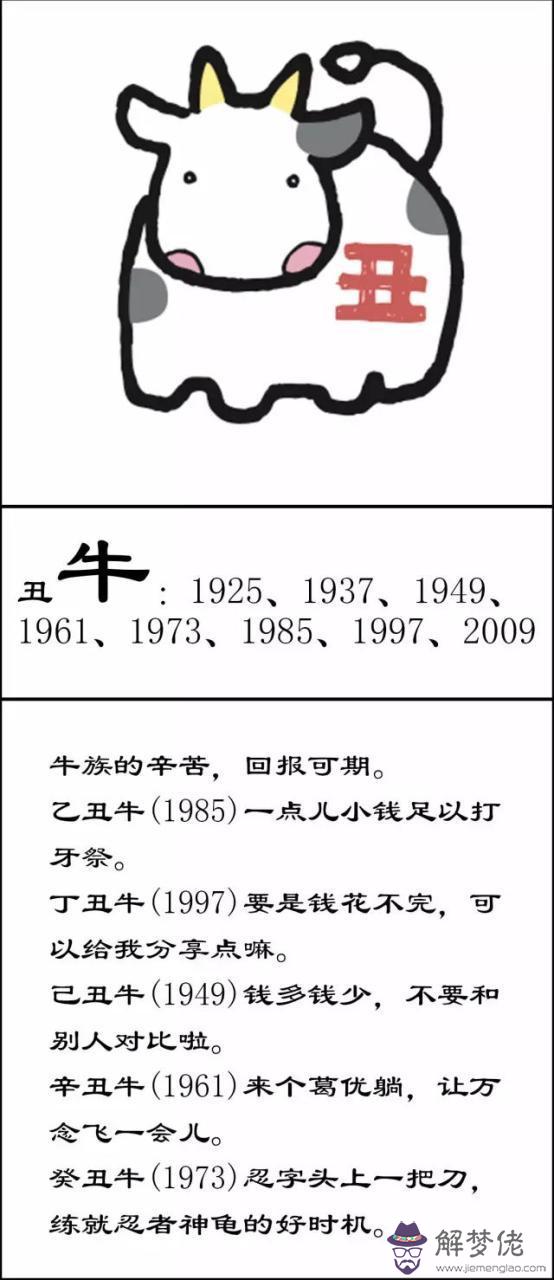 十二生肖今日運勢查詢，12生肖2022 年下半年運勢