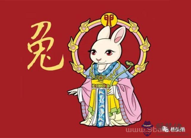十二生肖今日運勢查詢，12生肖2022 年下半年運勢