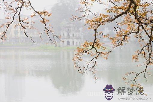 巨蟹專治什麼星座，巨蟹座能降住哪個星座