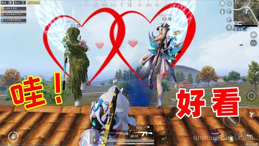 神射手狐貍是誰，神射手狐貍西瓜視頻