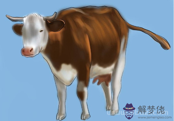 26.己丑日