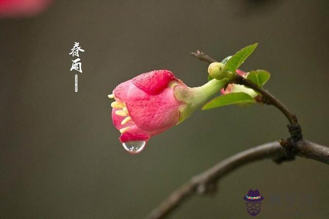 算命絕密口訣教你批八字下
