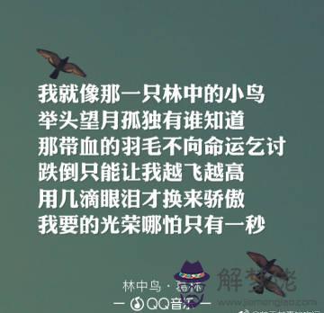 不向命運乞討什麼意思