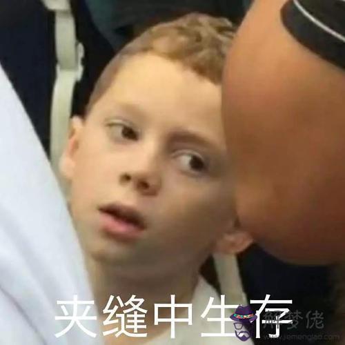 生辰八字和盤 生辰八字和盤