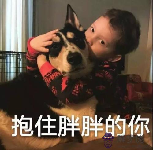 生辰八字和盤 生辰八字和盤