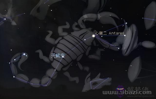 冬季星空的代表星座圖，冬季星座圖片星空圖
