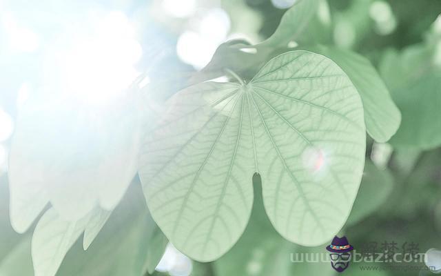 白羊男分手刪了你說明什麼，白羊男主動刪人意味什麼
