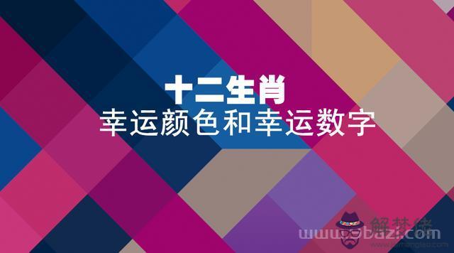 9年屬羊女幸運數是多少，1979屬羊女的吉利數字"