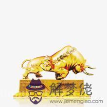 金牛座今日財運勢查詢女，處女座明日美國神婆